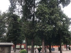 -历代帝王庙博物馆