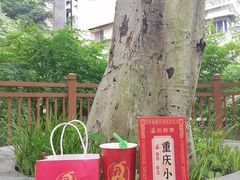 -巴将军·非遗老字号火锅(解放碑店)