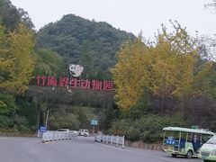-栾川竹海野生动物园