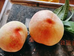 -南汇新场正宗水蜜桃采摘