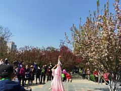-元大都城垣遗址公园