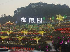 -枇杷园食为鲜火锅(南山店)