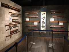 -东京塔海贼王主题公园