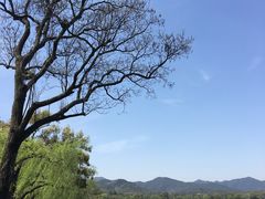 -浙江西子宾馆·瑶园咖啡厅