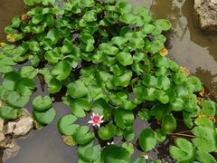 -苏州味道(阳澄湖服务区店)