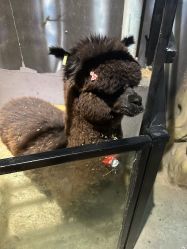 -酷嗒动物文化乐园(cutezoo西溪乐天城店)