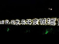 -帐篷客·溪龙茶谷度假酒店