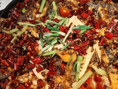 -老板恋上鱼(印象城店)