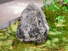-王府茶楼茶宴·创意菜(朝阳公园店)