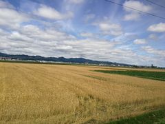 -富田农场