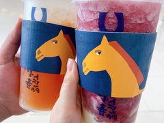 -春丽小马(济南恒隆广场店)