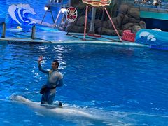 -海合安成都极地海洋公园