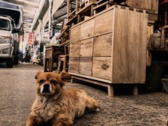 -亮佳鸿华二手市场