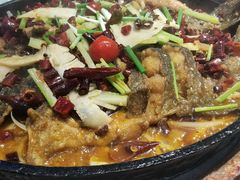 -老板恋上鱼(高新万达店)