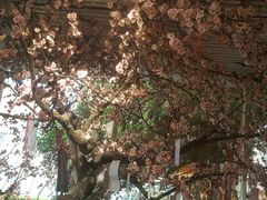 -上海市龙华烈士陵园