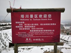 -塔川景区