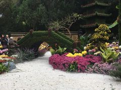 -汇龙潭