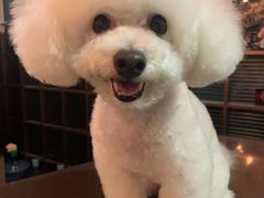 -能量健身私教工作室(1527店)