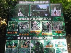 -西双版纳原始森林公园