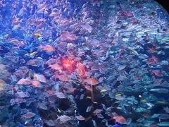 -成都浩海立方海洋公园