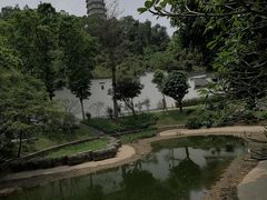 -深圳国际园林花卉博览园