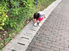 -苏州河梦清园环保主题公园