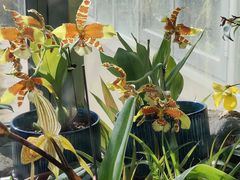 -国家植物园南园