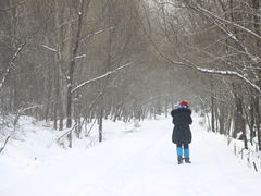 -雪谷