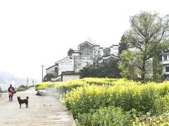 -新安江山水画廊风景区