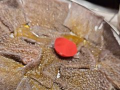 -热火朝天鲜切牛肉火锅(南强街巷店)