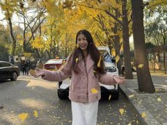 -三里屯东五街银杏大道