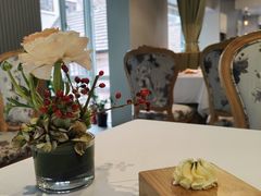 -蝶舍·MAISON PAPILLON