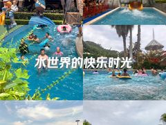 -重庆海昌加勒比海水世界