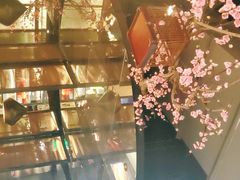 -老板恋上鱼(高新万达店)