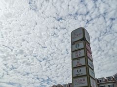 -高新活力汇Vitality