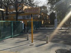 -三里屯东五街银杏大道