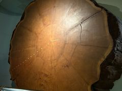 -美国自然历史博物馆