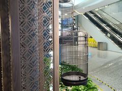 -惠如樓(白云机场T2国际出发店)