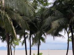 -深圳湾公园(南山区)