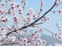 -妙峰山风景名胜区