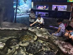 -南昌海洋公园
