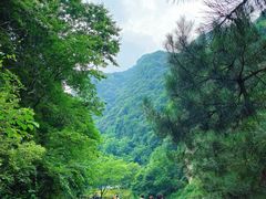 -少华山国家森林公园