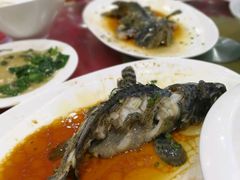 -南海渔家•海鲜•正宗海南菜(海棠湾店)