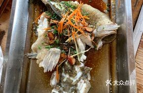 Kiss Fish