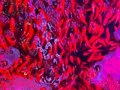 -三旗百汇商品城