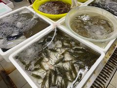 -板桥海鲜广场(文明东店)