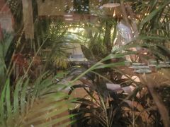 -泰堤坊(淡水体育馆店)