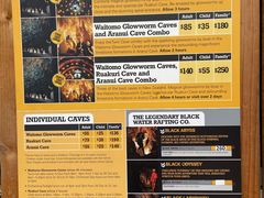 -怀托摩萤火虫洞