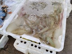 -蓝湾碧波·老字号·疍家非遗海上餐厅