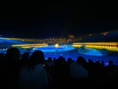 -鼎盛王朝康熙大典实景演出